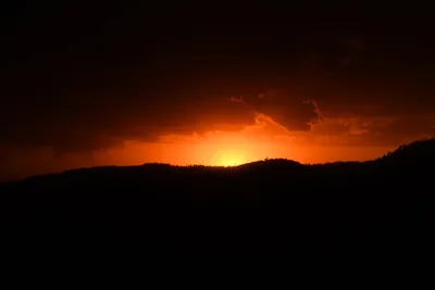 DSC_4563 (Large).JPG